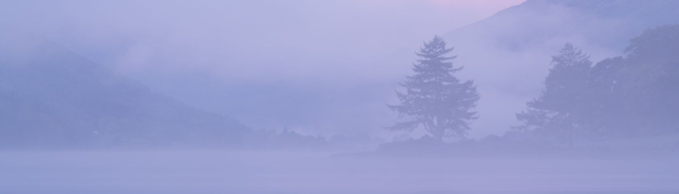 Dhanakosa loch and trees